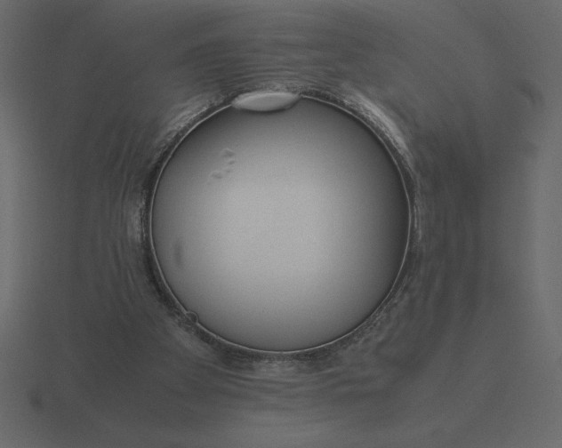 X0000116620105200912241801