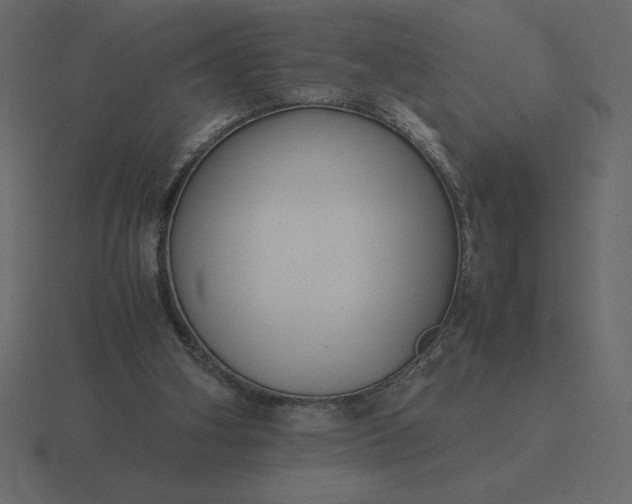 X0000116620106200912241800