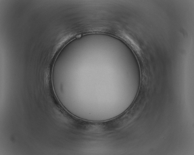 X0000116620107200912241800