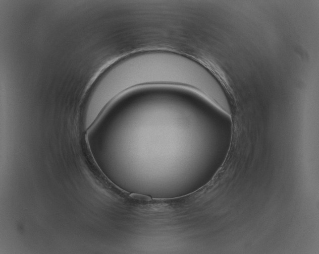 X0000116620108200912241800