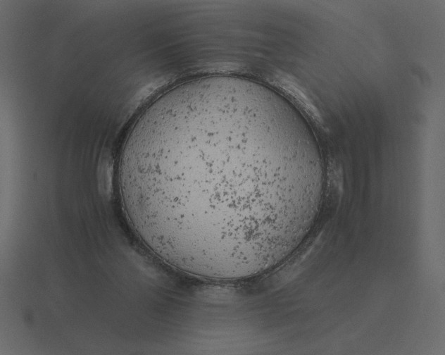 X0000116620110200912241800