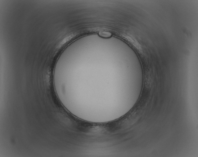 X0000116620111200912241800