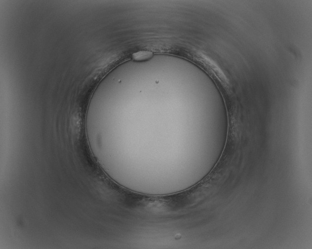 X0000116620113200912241800