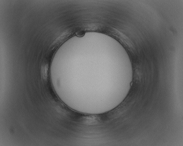 X0000116620118200912241800