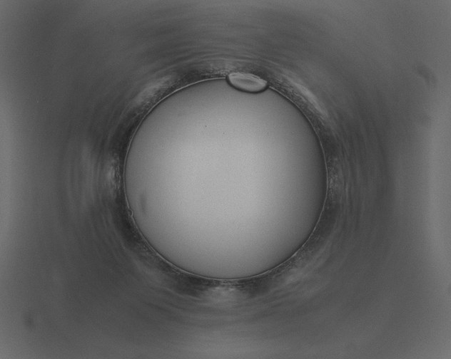 X0000116620119200912241800