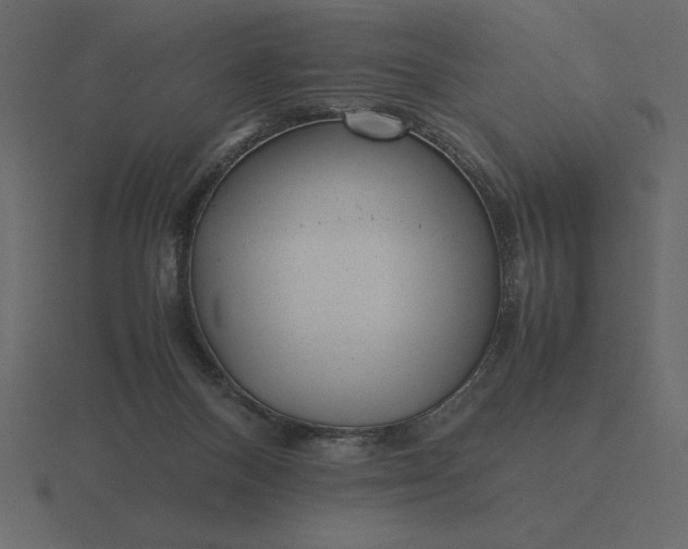 X0000116620120200912241800