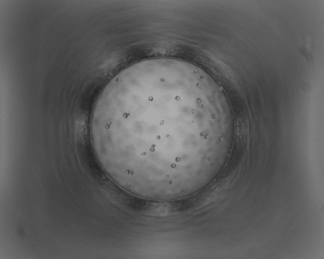 X0000116620127200912241800