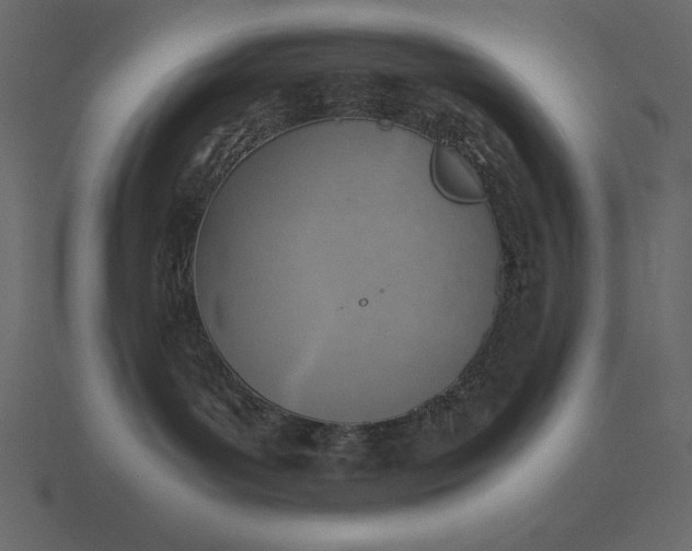 X0000116620143200912241800