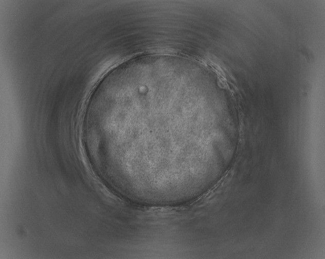 X0000116620145200912241759