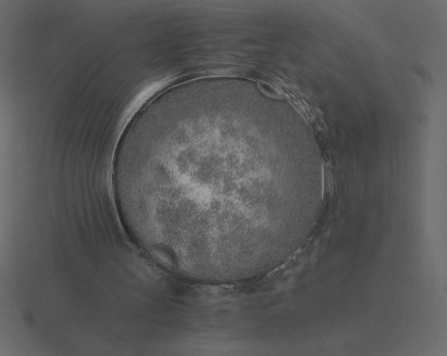 X0000116620147200912241759