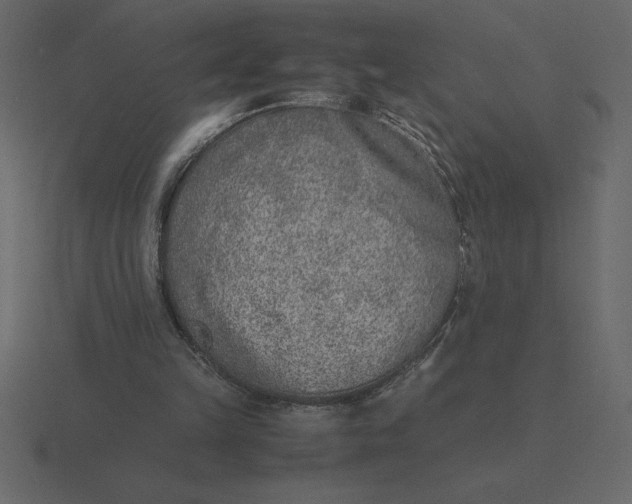 X0000116620149200912241759