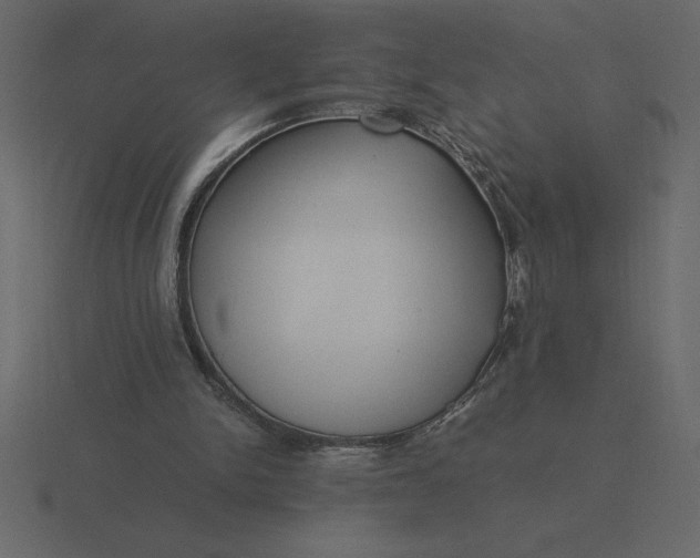 X0000116620150200912241759