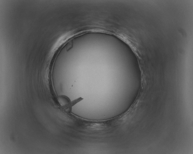 X0000116620151200912241759