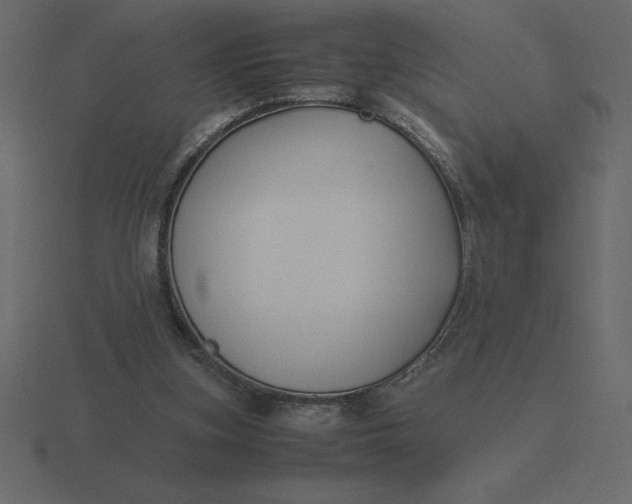 X0000116620155200912241800