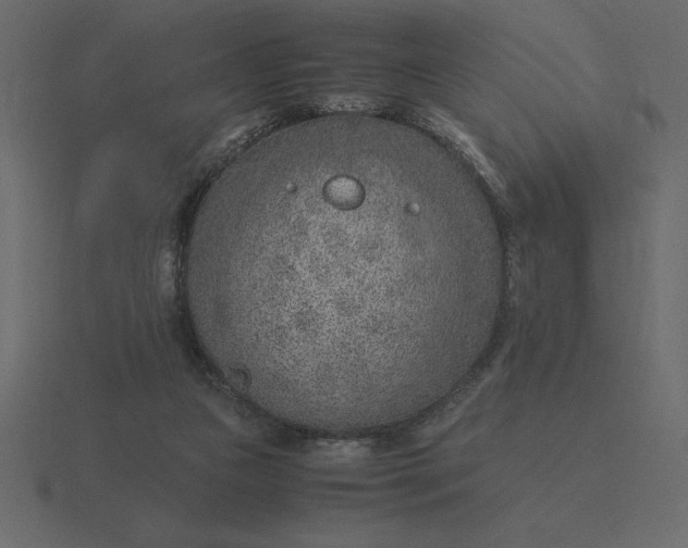 X0000116620161200912241800