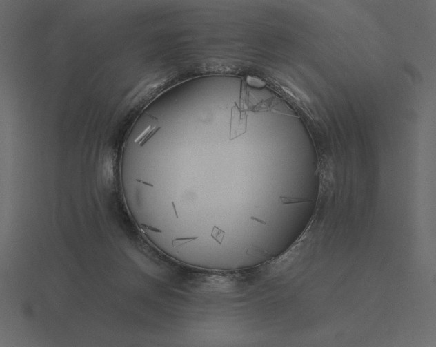 X0000116620166200912241800