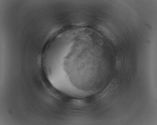 X0000116620167200912241800