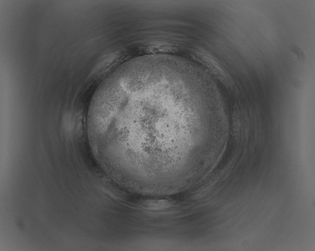 X0000116620169200912241800