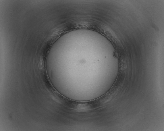 X0000116620173200912241800