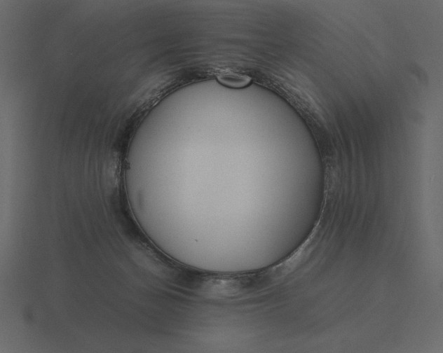 X0000116620174200912241800