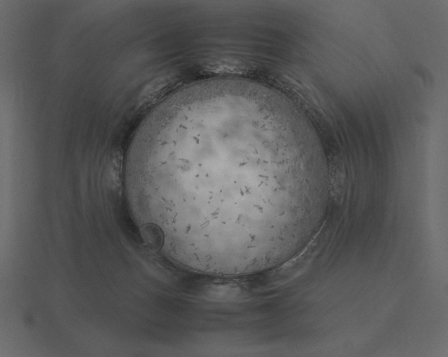 X0000116620175200912241800