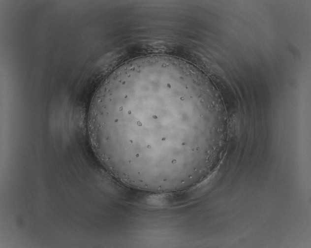 X0000116620178200912241800