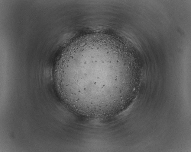 X0000116620182200912241800