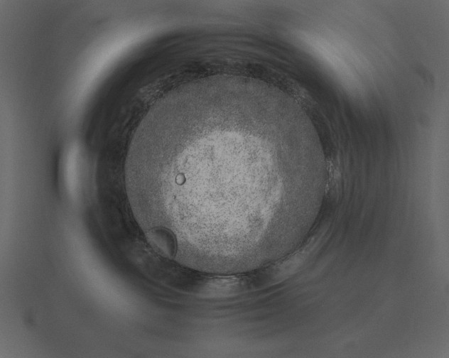 X0000116620189200912241800