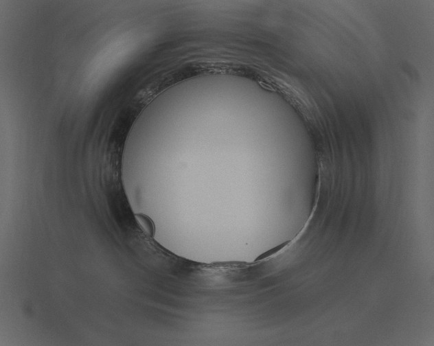 X0000116620190200912241800