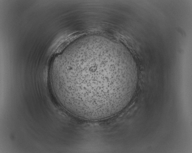 X0000116620194200912241759