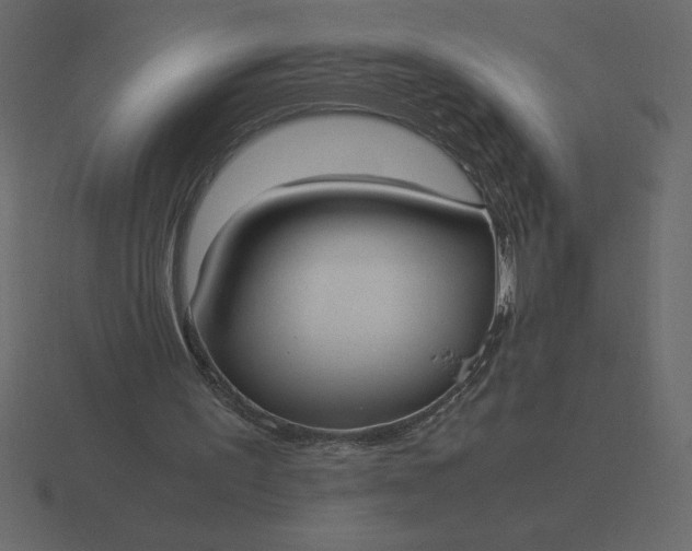 X0000116620195200912241759