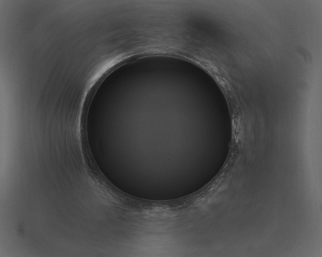 X0000116620196200912241759