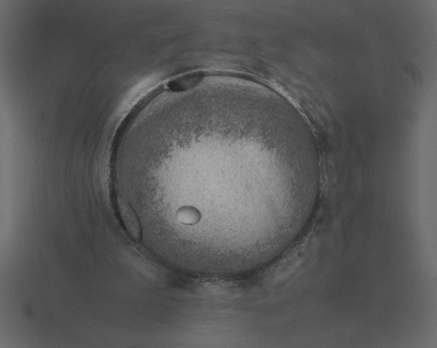 X0000116620199200912241759