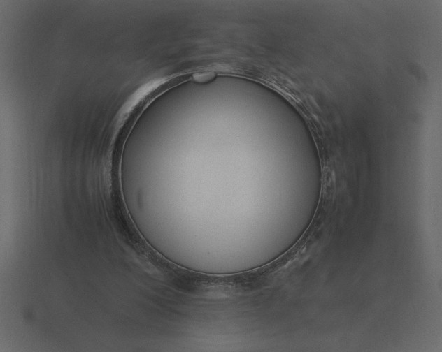 X0000116620200200912241759