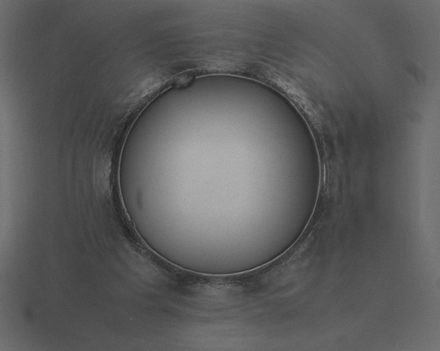 X0000116620201200912241759