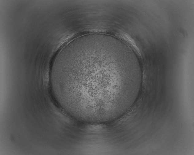 X0000116620202200912241759