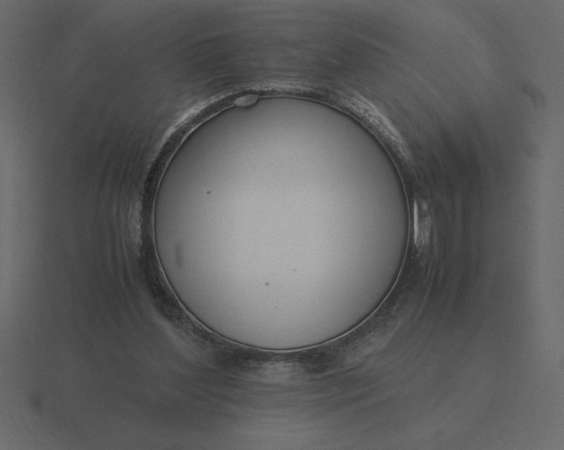 X0000116620204200912241759