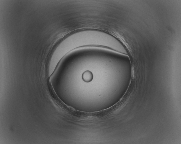 X0000116620205200912241759