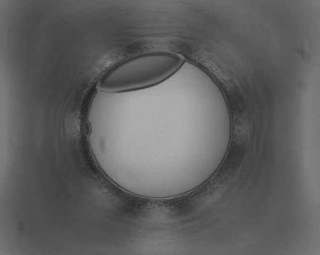 X0000116620207200912241759