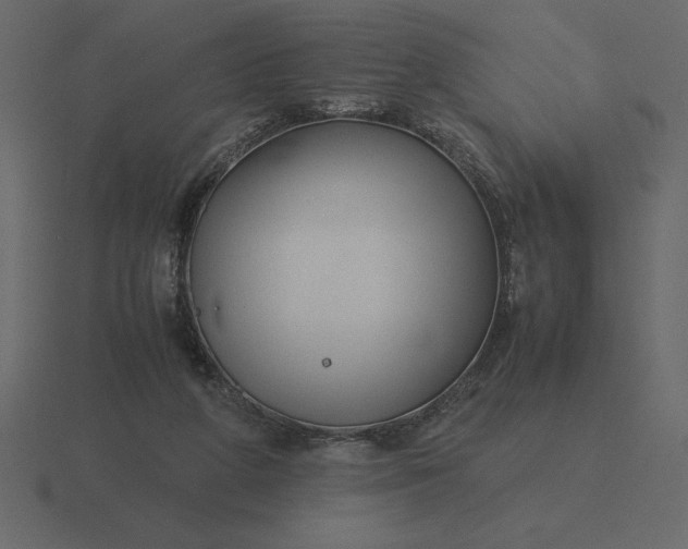 X0000116620210200912241759