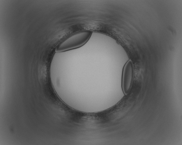 X0000116620211200912241759