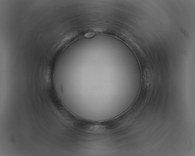 X0000116620212200912241759