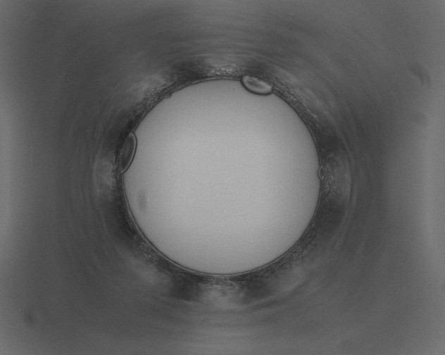 X0000116620215200912241759