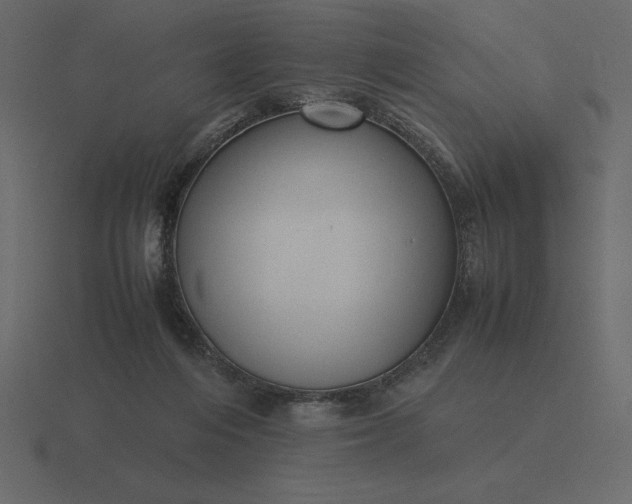 X0000116620216200912241759