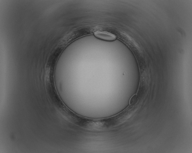 X0000116620217200912241759