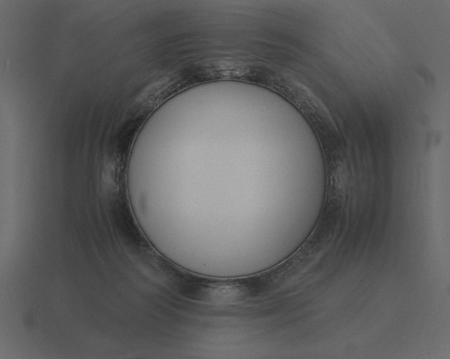 X0000116620218200912241759