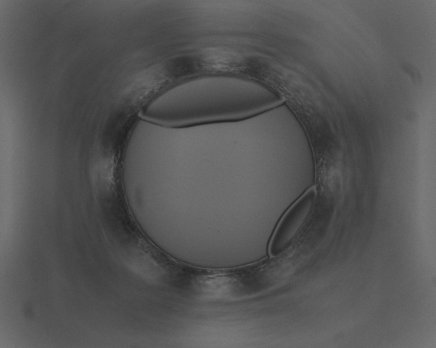 X0000116620219200912241759