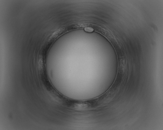 X0000116620220200912241759