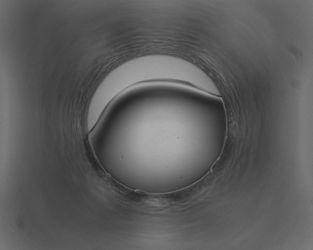 X0000116620221200912241759