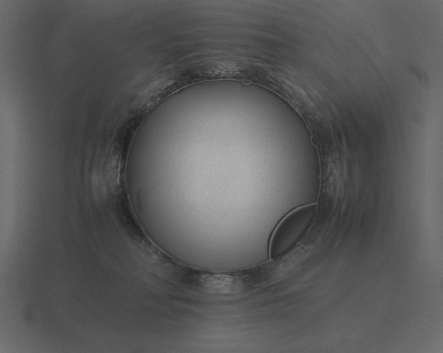 X0000116620230200912241759